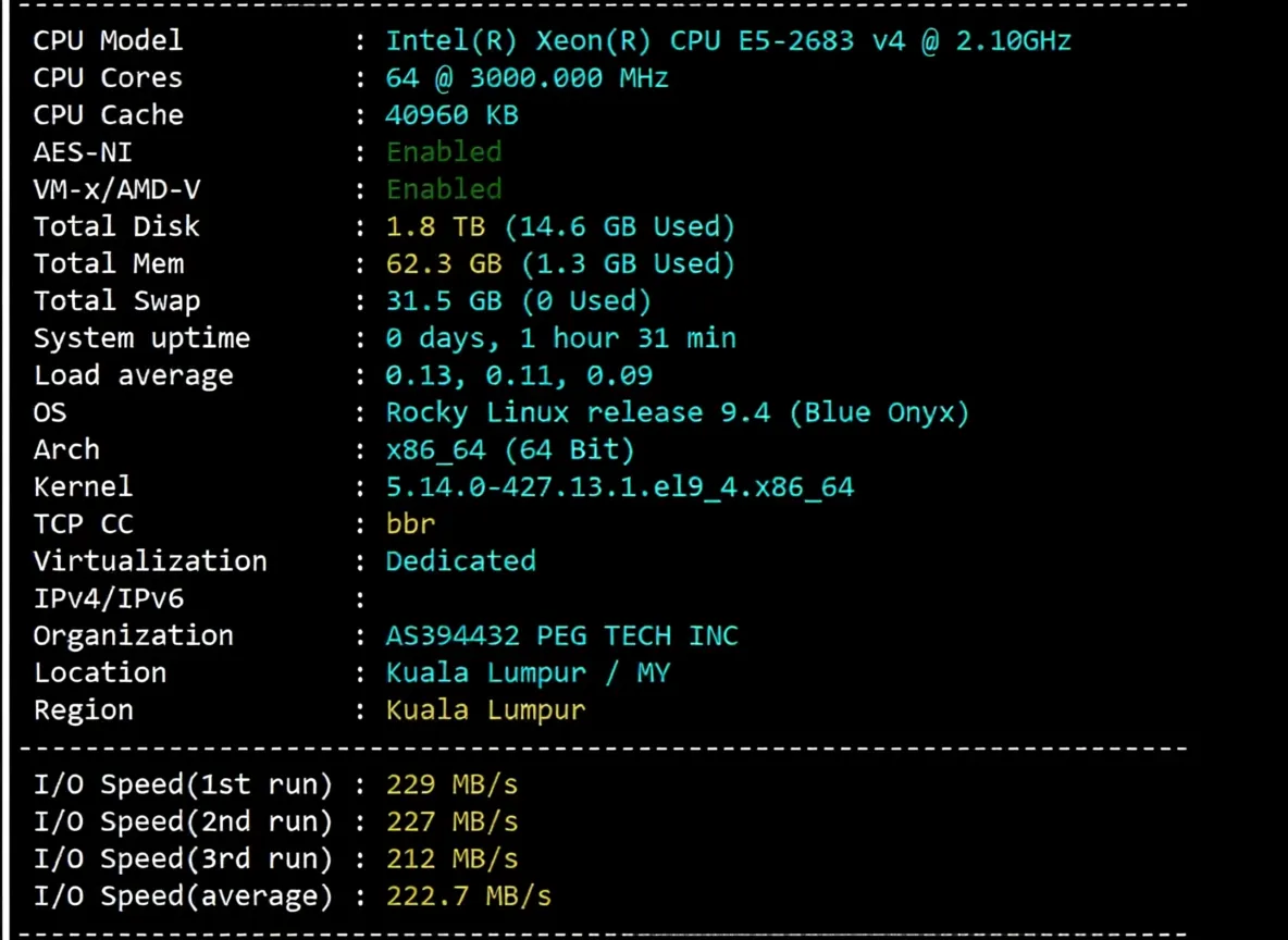 How is RakSmart? Detailed Review of Malaysia International BGP Route Server - Image 2