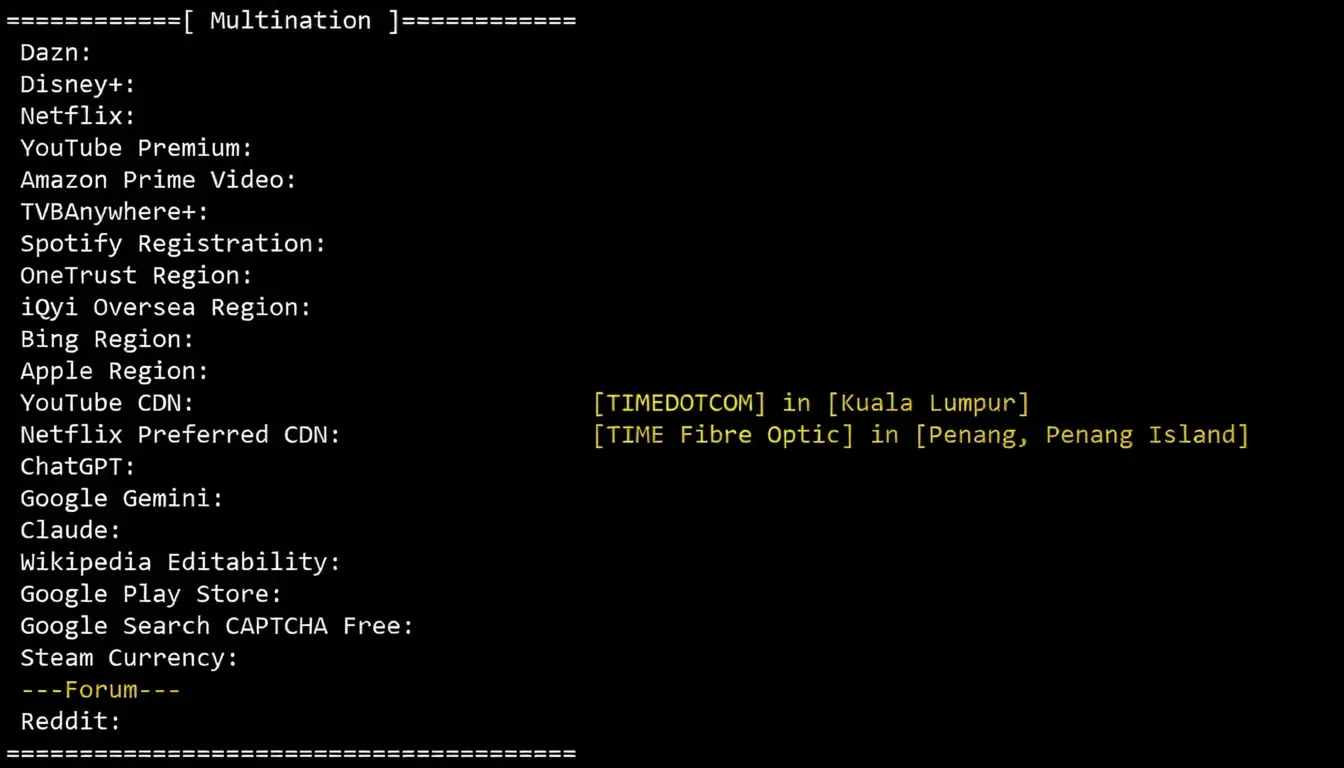 How is RakSmart? Detailed Review of Malaysia International BGP Route Server - Image 7