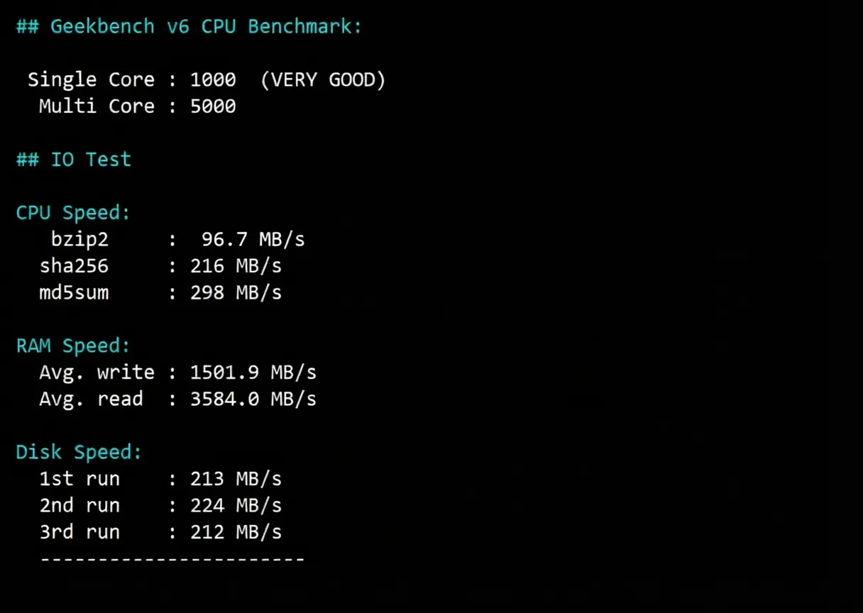 How is RakSmart? Detailed Review of Malaysia International BGP Route Server - Image 9