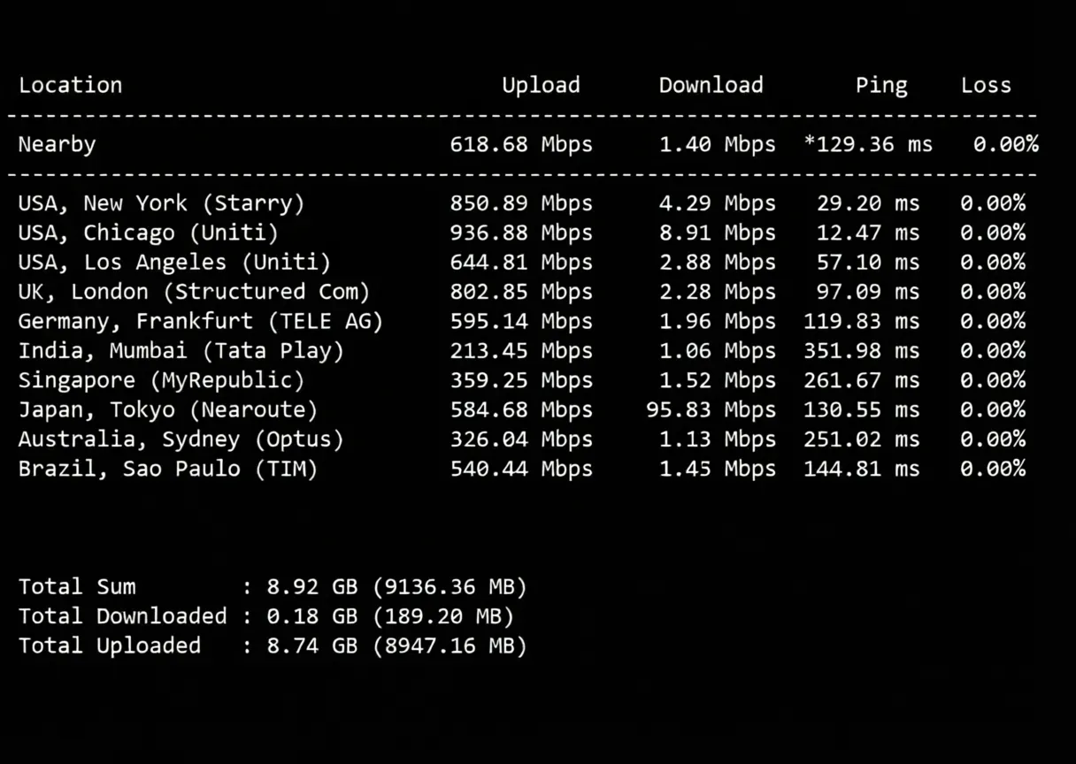 Detailed Review of Dedione Kansas USA VPS with 1Gbps Bandwidth and Unlimited Traffic - Image 4