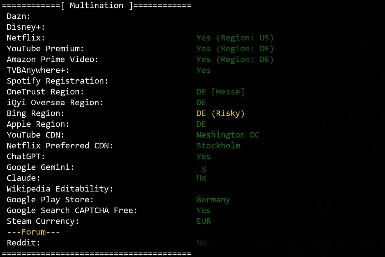 🟩Update🟩 Detailed Review of RAKsmart Germany Data Center Premium Network Routes with Direct Routing! - Image 7