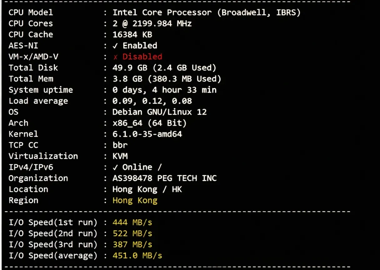 Raksmart Hong Kong Premium CN2 Line Review: Fast Speed, Three Networks Maxed Out All Day - Image 2