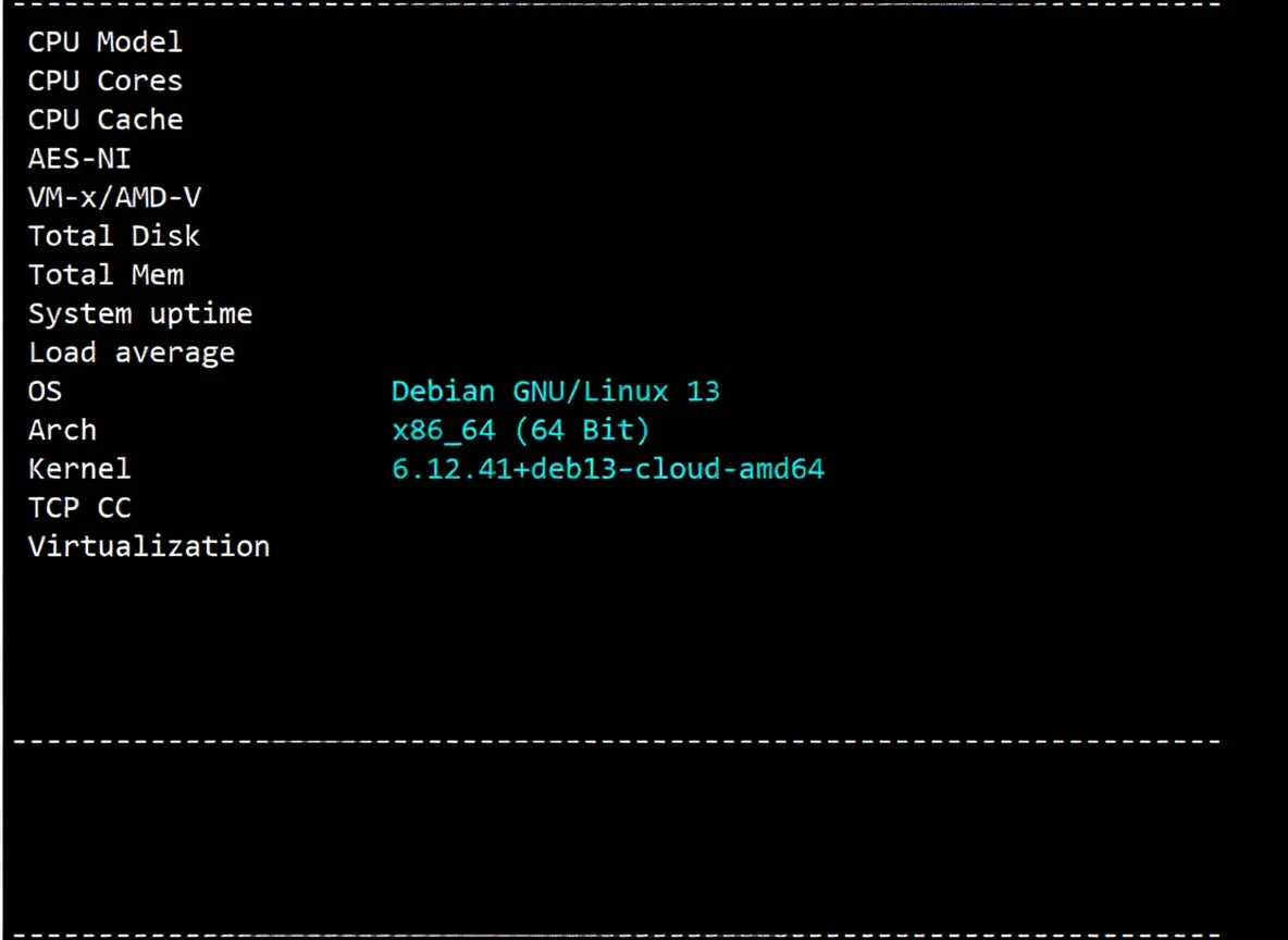 inet.ws Germany VPS Review: Decent Return Routes, Unlocks TikTok/ChatGPT/Netflix and More - Image 2