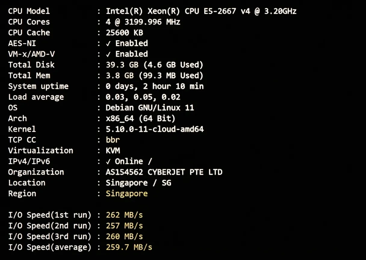 Review of LisaHost Singapore Native Dual ISP Residential IP VPS: Unlocks TikTok and More, Suitable for Mobile Users - Image 2